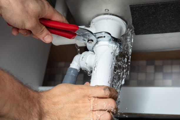 Best Flooded house restoration  in Liberty Triangle, FL