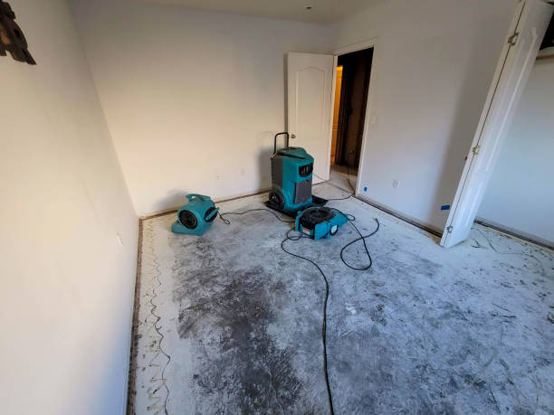 24/7 water damage repair in Liberty Triangle, FL