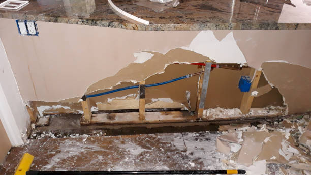 Best Basement water damage restoration  in Liberty Triangle, FL