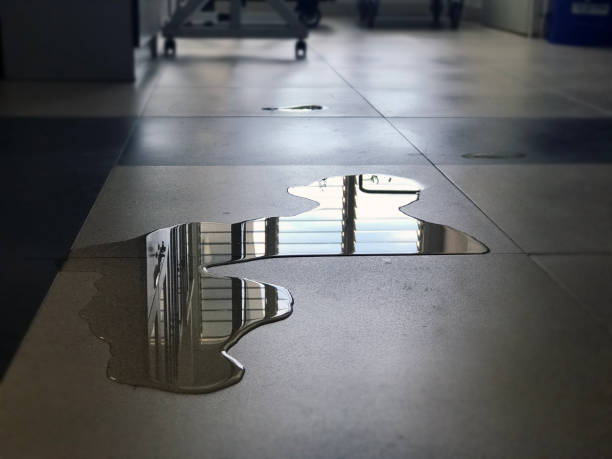 Best Water damage restoration specialists  in Liberty Triangle, FL