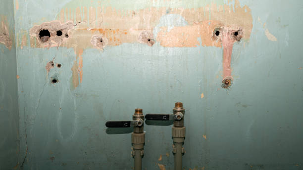 Best Fire Damage Restoration  in Liberty Triangle, FL