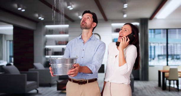Best Local water damage restoration  in Liberty Triangle, FL