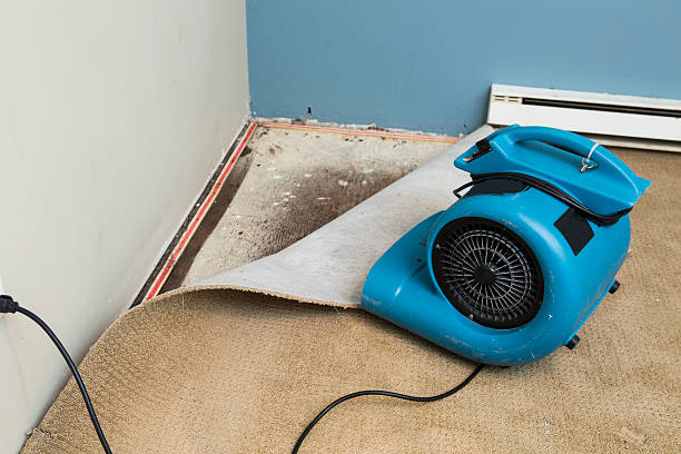 Best Flood restoration services  in Liberty Triangle, FL